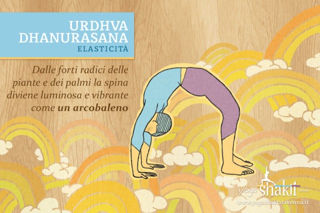 urdhvadhanurasana